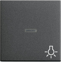 067428 Gira Клавиша с пиктограммой "Свет" и контрольным окном