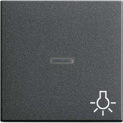 067428 Gira Клавиша с пиктограммой "Свет" и контрольным окном