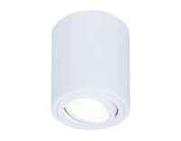 Накладной поворотный точечный светильник MR16 1*GU5.3, AMBRELLA LIGHT, TN225