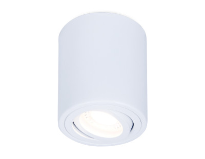 Накладной поворотный точечный светильник MR16 1*GU5.3, AMBRELLA LIGHT, TN225