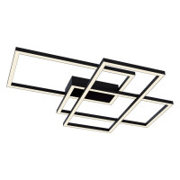 Technical Rida Потолочный светильник, цвет -  Черный, 80W