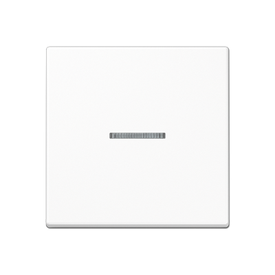 Клавиша для KNX кнопки, 1 группа, с окошком; термопласт; белый, A101KO5BFWW