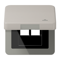 Накладка и крышка для двойных UAE розеток с символом "сеть"; металл; платина, CD590KLLANPT