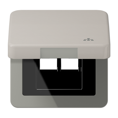 Накладка и крышка для двойных UAE розеток с символом "сеть"; металл; платина, CD590KLLANPT