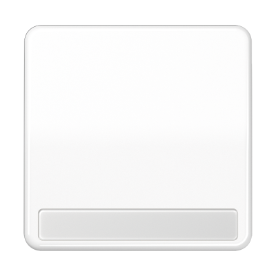 Клавиша для выключателя с полем для надписи; белая, CD590NAWW