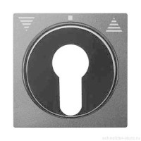 SD Накладка для выключателя, управл. ключом, антрац. SD Накладка для выключателя, управл. ключом, антрац.