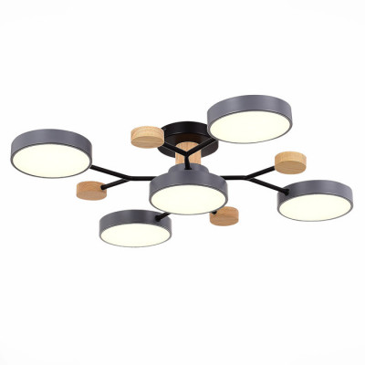 ST LUCE SLE6006-702-05 Светильник потолочный Серый/Серый LED 5*12W 3000K/4500K/6000K