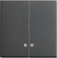 063128 Gira Накладка двухклавишная с контрольными окнами