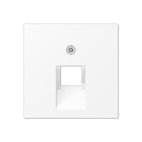 Крышка для одинарных телефонных и компьютерных розеток (UAE), фиксация винтом; термопласт; белый матовый; A500, A569-1BFPLUAWWM