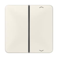 клавиша с символом для пульта KNX, слоновая кость, для серии CD, CD401TSAP клавиша с символом для пульта KNX, слоновая кость, для серии CD, CD401TSAP