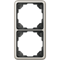 Рамка для вертикальной и горизонтальной установки, 2 поста; металл; платина; CD500, CD582PT