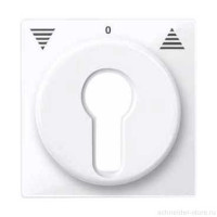 SM Накладка для выключателя, управл. ключом, активно-бел. SM Накладка для выключателя, управл. ключом, активно-бел.
