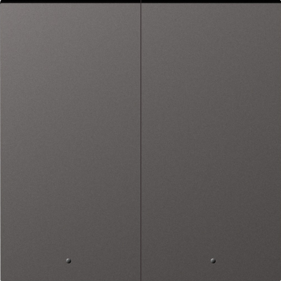 Donel A07 матовый титан клавиша 2-я с подсветкой, серия DB, DE28545