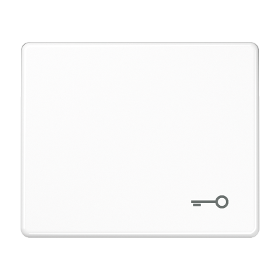 Клавиша для выключателя с символом "ключ"; белая, SL590TWW