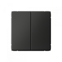 GAL001417S - ARTGALLERY 2-клавишный ВЫКЛЮЧАТЕЛЬ КНОПОЧНЫЙ, 10АХ, механизм, быстрозажим. клем., БАЗАЛЬТ, Systeme Electric GAL001417S - ARTGALLERY 2-клавишный ВЫКЛЮЧАТЕЛЬ КНОПОЧНЫЙ, 10АХ, механизм, быстрозажим. клем., БАЗАЛЬТ, Systeme Electric