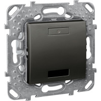 2-КНОПОЧНЫЙ ЫЙ ВЫК-ЛЬ С LED, ИК-ПРИЕМН., ГРАФИТ