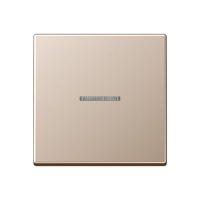 Клавиша для KNX кнопки, 1 группа, с окошком; дюропласт; шампань, A101KO5CH Клавиша для KNX кнопки, 1 группа, с окошком; дюропласт; шампань, A101KO5CH