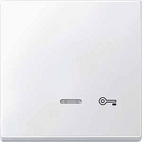 SD Клавиша 1-ная с линзой и символом "Ключ", полярно-бел.