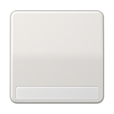 Клавиша для выключателя с полем для надписи; светло-серая, CD590NALG