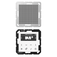 Цифровое радио DAB, DABA1WW