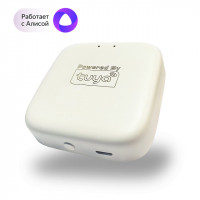 Denkirs SMART WIFI Converter DK7400-WF