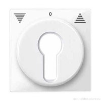 SM Накладка для выключателя, управл. ключом, бел. SM Накладка для выключателя, управл. ключом, бел.