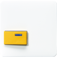 Крышка для изделий фирмы Ackermann; белая, CD642DWW Крышка для изделий фирмы Ackermann; белая, CD642DWW