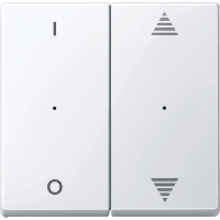 SM,КЛ.ДЛЯ МОД 2КН.ВЫК, ВВ/ВН,1/0,АК.БЕЛ