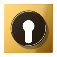 Крышка к выключателю для замочного механизма; металл цвета золота, GO2928