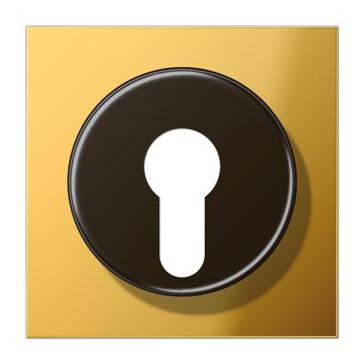 Крышка к выключателю для замочного механизма; металл цвета золота, GO2928