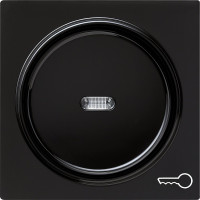 028747 Gira Клавиша с пиктограммой "ключ"