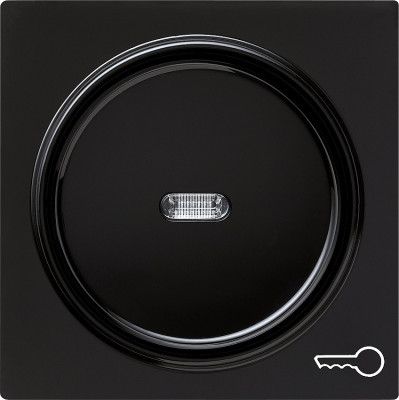 028747 Gira Клавиша с пиктограммой "ключ"