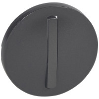 Legrand Лицевая панель - Программа Celiane - выключатель 1-полюсный / переключатель Кат. № 0 670 01/02/31/32 с тонкой клавишей - графит, 065201 Legrand Лицевая панель - Программа Celiane - выключатель 1-полюсный / переключатель Кат. № 0 670 01/02/31/32 с тонкой клавишей - графит, 065201