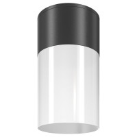 Outdoor Потолочный светильник цвет: Черный, 60W