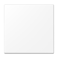 Центральная плата стандарт; дюропласт; белый матовый, LS1700WWM