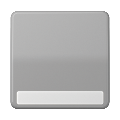 Клавиша для выключателя и кнопки, с полем для надписи; серая, CD590NAGR