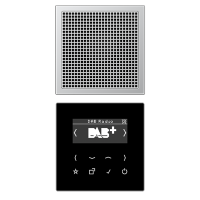 Цифровое радио DAB, DABAL1