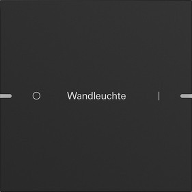 5031905 Gira Клавиша одинарная  для сенс.  выкл.Gira 4 KNX, ГРАВИРОВКА