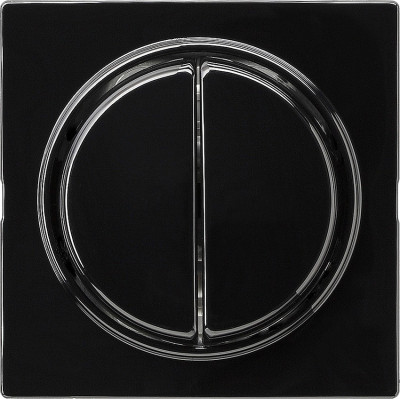 012847 Gira Кнопочный 2-клавю переключатель 2- местн