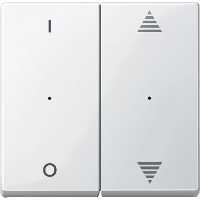 SM,КЛ.ДЛЯ МОД 2КН.ВЫК, ВВ/ВН,1/0,П.БЕЛ