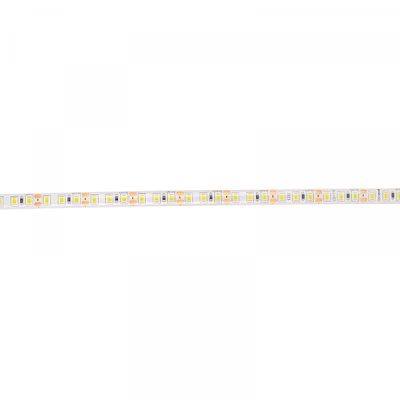 Jazzway Лента PLS 2835/120-12V - W IP65 5m (белый свет), 2859099