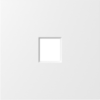 Donel S08 матовый белый накладка 1-я для розеток RJ45,TV,SAT , серия DB, DS85933