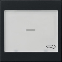 0676005 Gira Клавиша с полем для надписи 37*47 мм