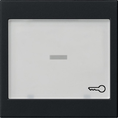 0676005 Gira Клавиша с полем для надписи 37*47 мм