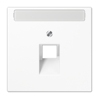 Крышка для одинарной телефонной и компьютерной розетки UAE с полем для надписи; белая, LS969-1NAUAWW