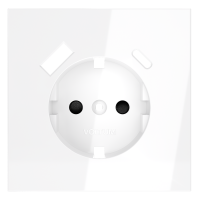 Накладка для розетки с заземлением и защитными шторками, с USB A+C, S70 (белый глянцевый), VLS001001 Накладка для розетки с заземлением и защитными шторками, с USB A+C, S70 (белый глянцевый), VLS001001