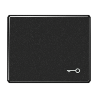 Клавиша для выключателя с символом "ключ"; черная, SL590TSW