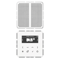 Цифровое радио DAB, DABCD1WW