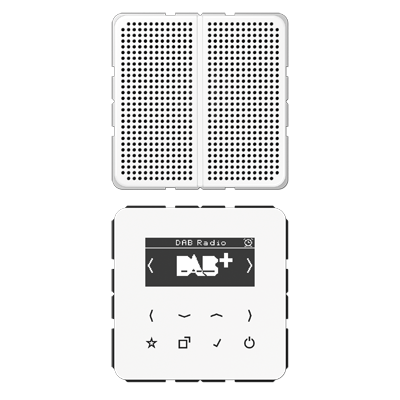 Цифровое радио DAB, DABCD1WW