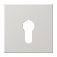 Крышка к выключателю для замочного механизма; светло-серая, LS925LG